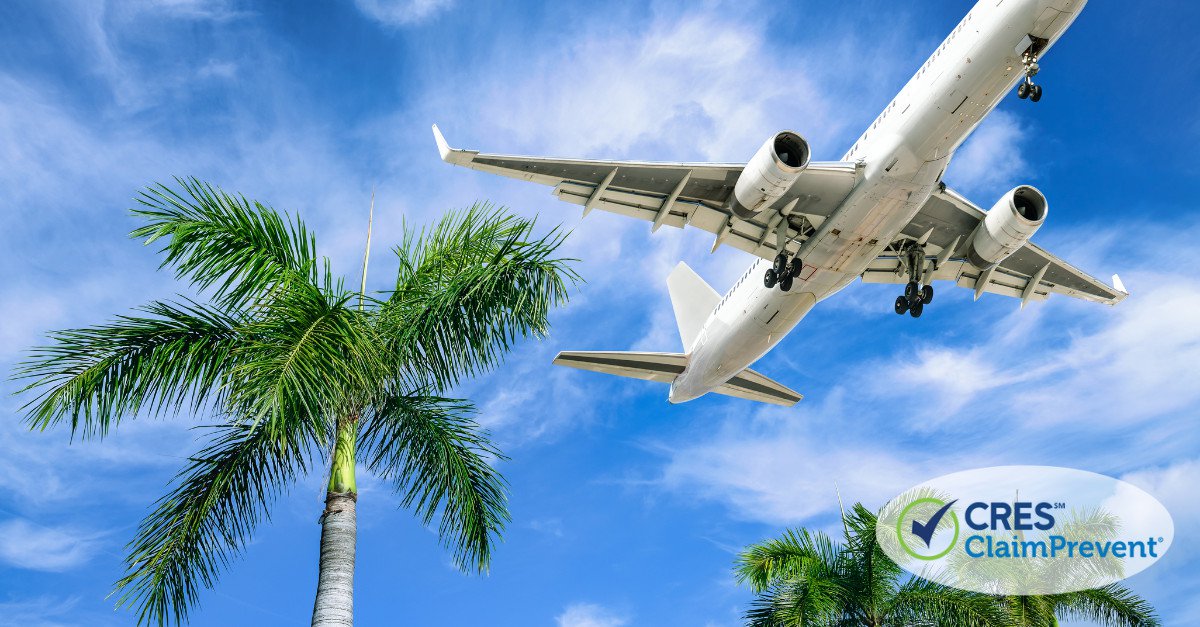 palm trees plane flying over