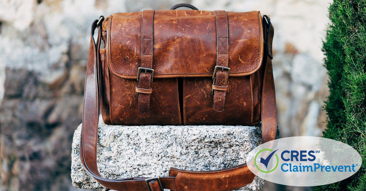 leather satchel bag siting on rock next to bush